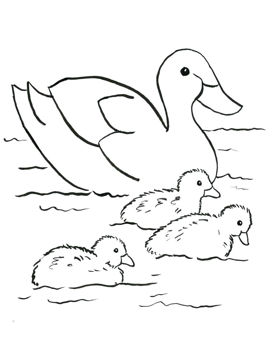 878x1145 Coloring Pages ~ Crab Coloring Pages Downloads Ducks In