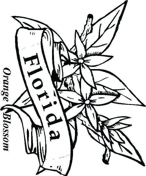 600x721 State Coloring Pages Stamp Coloring Page Michigan State University
