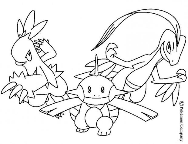 620x475 Combusken And Marshtomp Coloring Pages