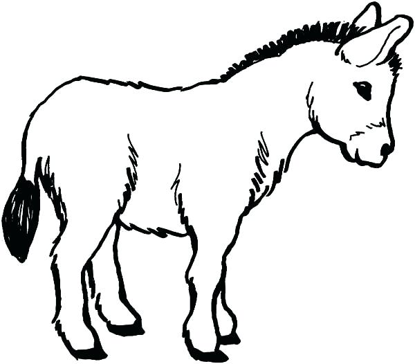 600x526 Mule Animal Coloring Pages Mule Deer Coloring Page Coloring Trend