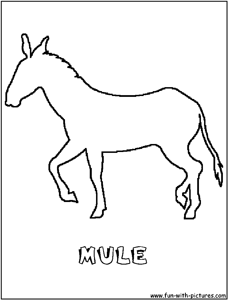 800x1050 Mule Coloring Page Of Outline A For The Love Of Horse'S