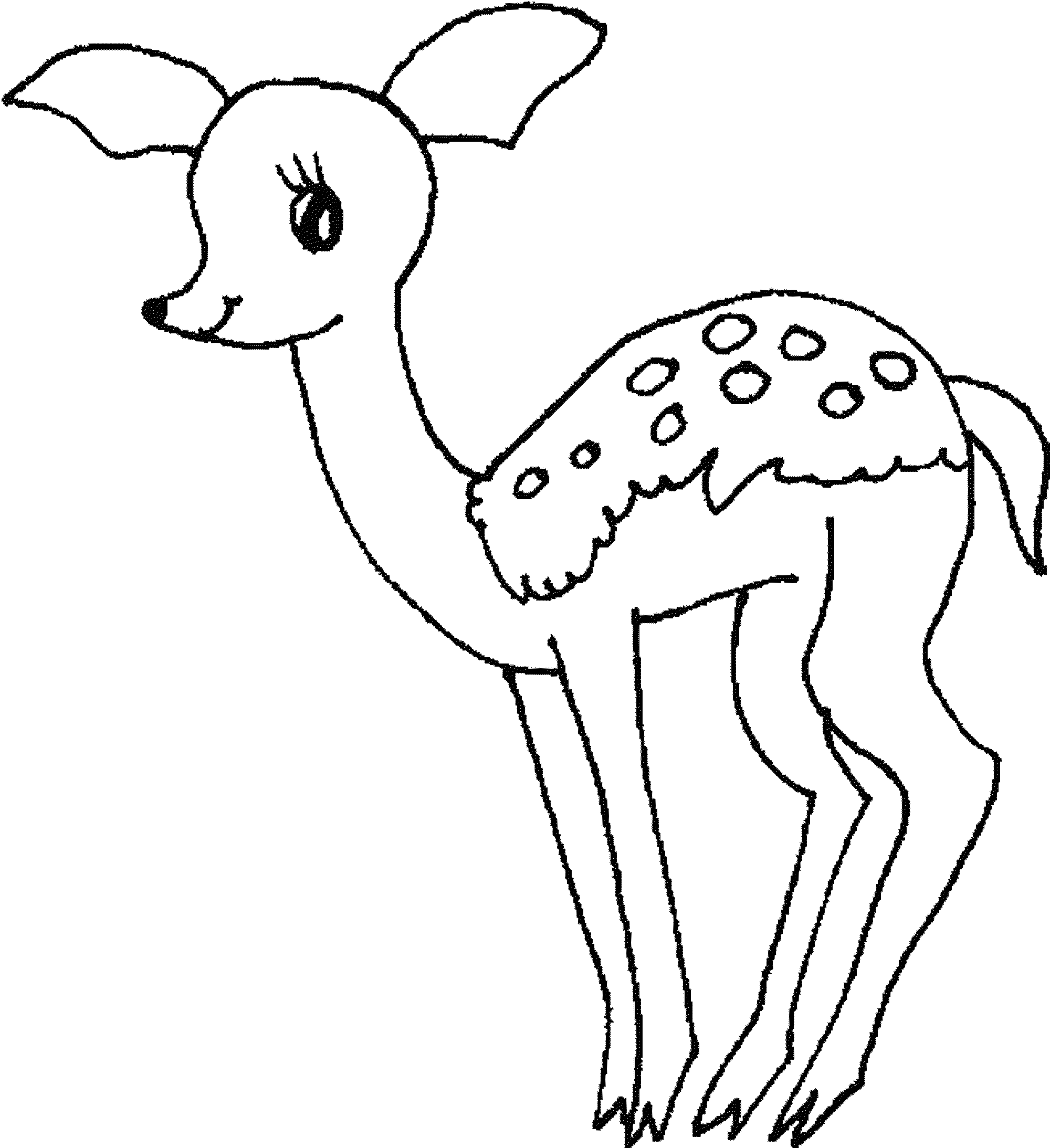 2000x2187 Printable Deer Coloring Pages For Kids Of Mule Animal Baby Hunters