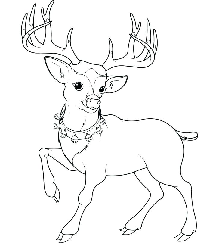 728x807 Deer Coloring Page Complete Printable Deer Pictures Free Coloring