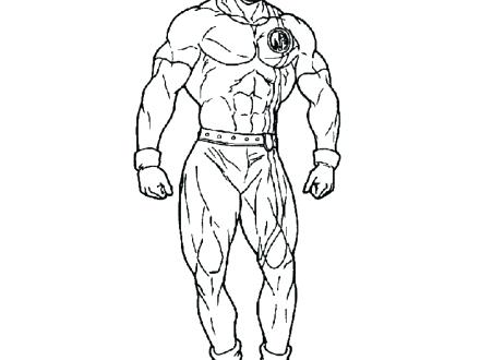 440x330 Muscle Coloring Pages Muscular System Coloring Pages Muscular