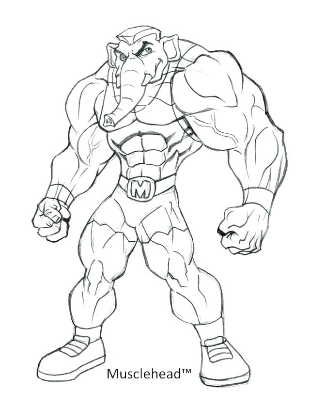 640x840 Muscle Coloring Book Anatomy Muscle Coloring Pages Anatomy