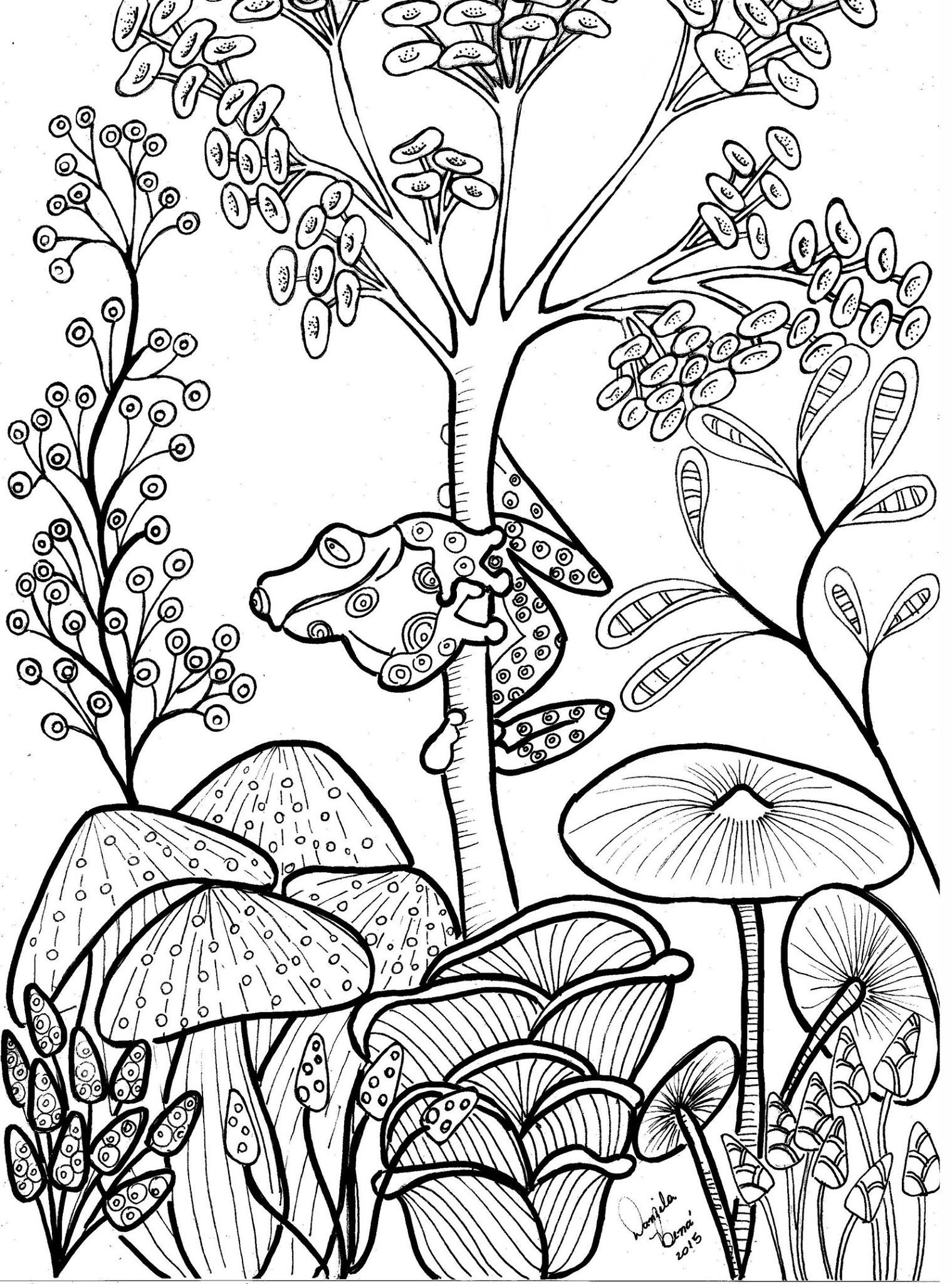 1519x2048 Cute Tree Frog And Mushrooms Coloring Page Floral Coloring Books