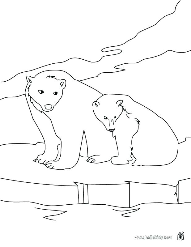 618x799 Musk Ox Coloring Pages Arctic Animal Coloring Pages Coloring Pages