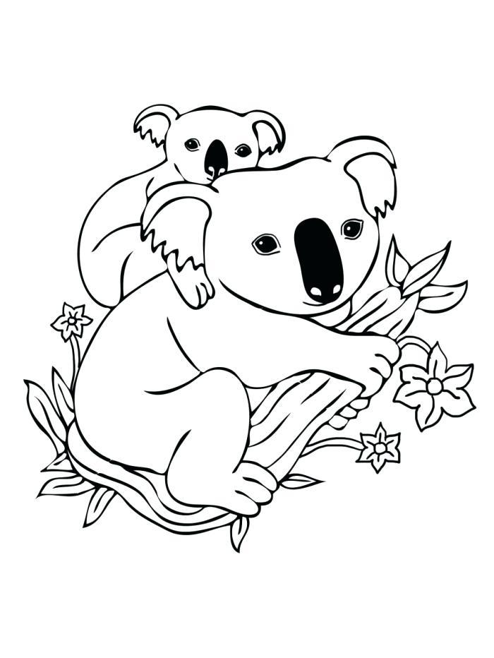 700x932 Musk Ox Coloring Pages Koala Coloring Pages To Print Musk Oxen