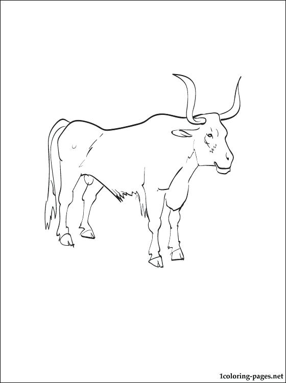 560x750 Ox Coloring Page Oxen Printable And Coloring Page Ox Coloring Page