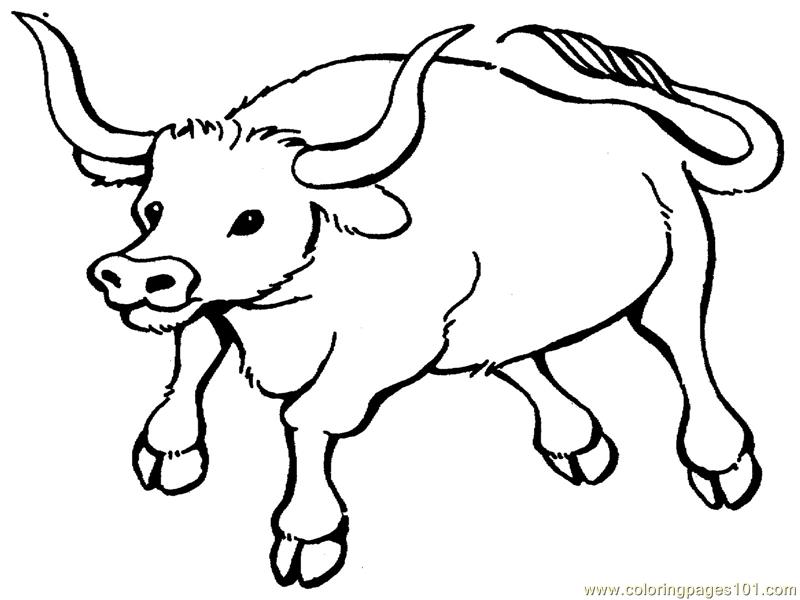 800x600 Musk Ox Coloring Page Free Printable Coloring Pages Ox Coloring