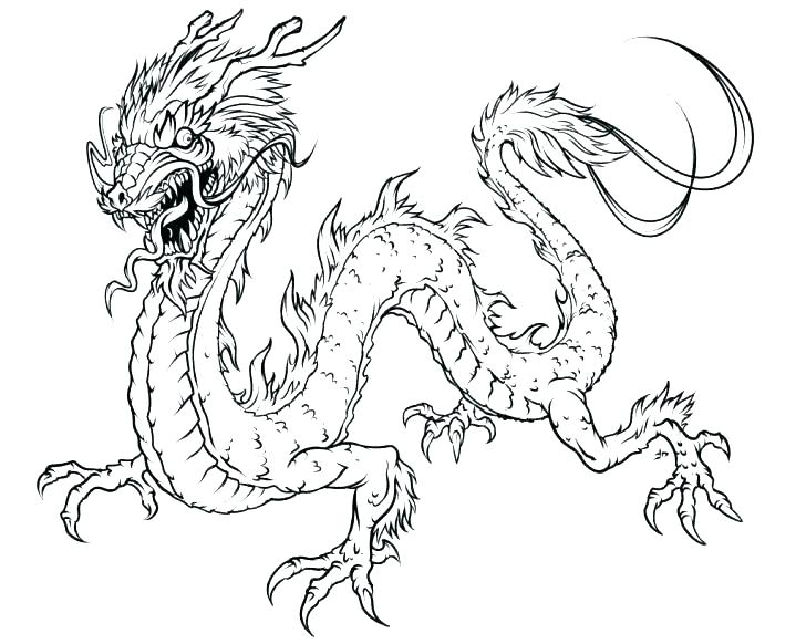 728x582 Forest Animal Coloring Pages Coloring Rainforest Animal Coloring