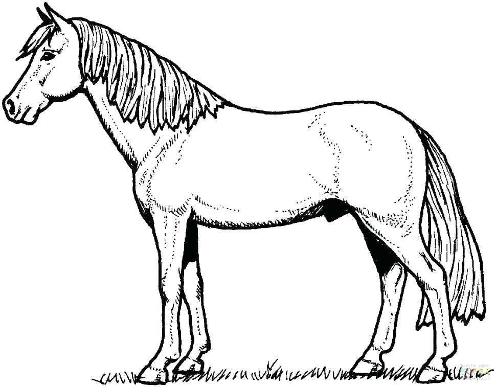 970x757 Horse Coloring Pages To Print Mustang Horse Coloring Pages Horses