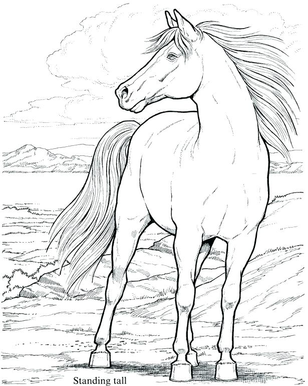 615x770 Marvellous Mustang Horse Coloring Pages Beautiful Mustang Horse