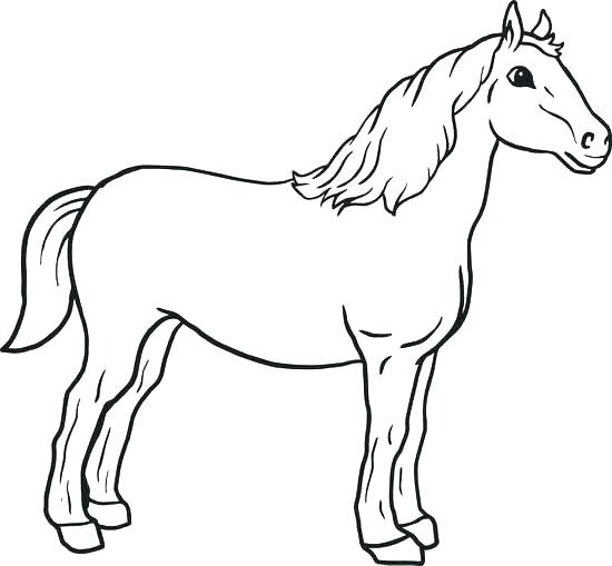 550x509 Stallion Coloring Pages Beautiful Mustang Horse Coloring Pages