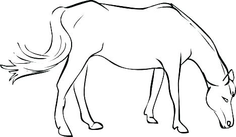 468x271 Horse Coloring Page