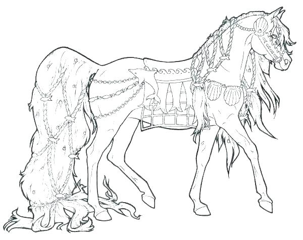 600x476 Horse Coloring Pages To Print Shippa.co