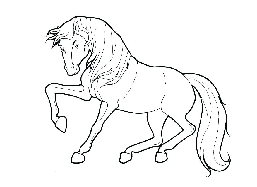 878x638 Free Printable Horse Coloring Pages For Adults Horse Coloring