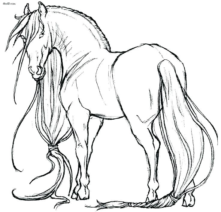 736x707 Free Printable Horse Coloring Pages Lovely Horse Coloring Pages