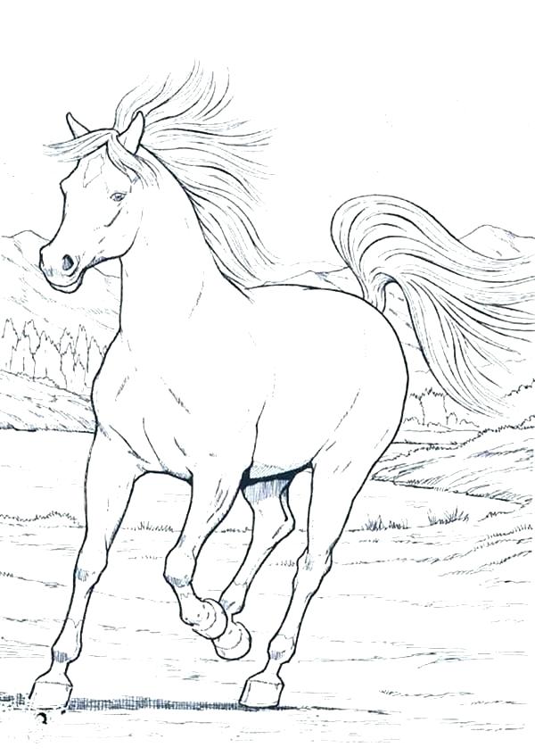 600x847 Horse Coloring Pages Free Mustang Horse Coloring Pages Horse