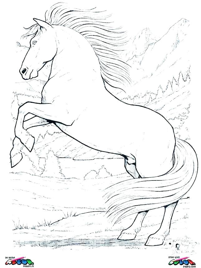 645x860 Horse Colouring Pages Horse Colouring Pages Horse Color Page