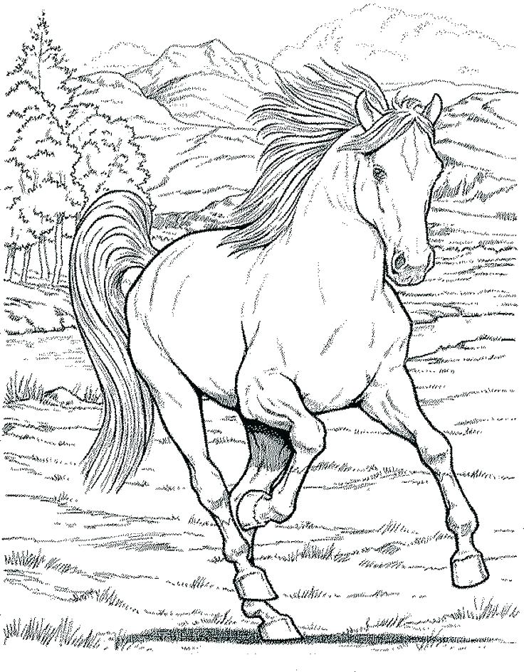 736x945 Horse Printable Coloring Pages Free Printable Coloring Pages