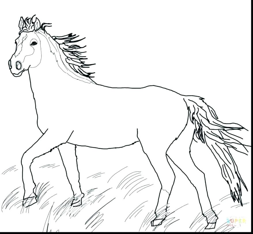 878x812 Mustang Horse Coloring Pages Horse Coloring Pages To Print Mustang