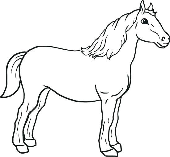 550x509 Fascinating Free Horse Coloring Pages Mustang Horse Coloring Pages
