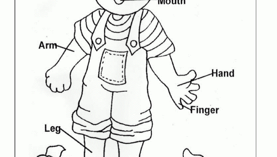 958x544 Human Body Coloring Pages Printable Coloring Pages