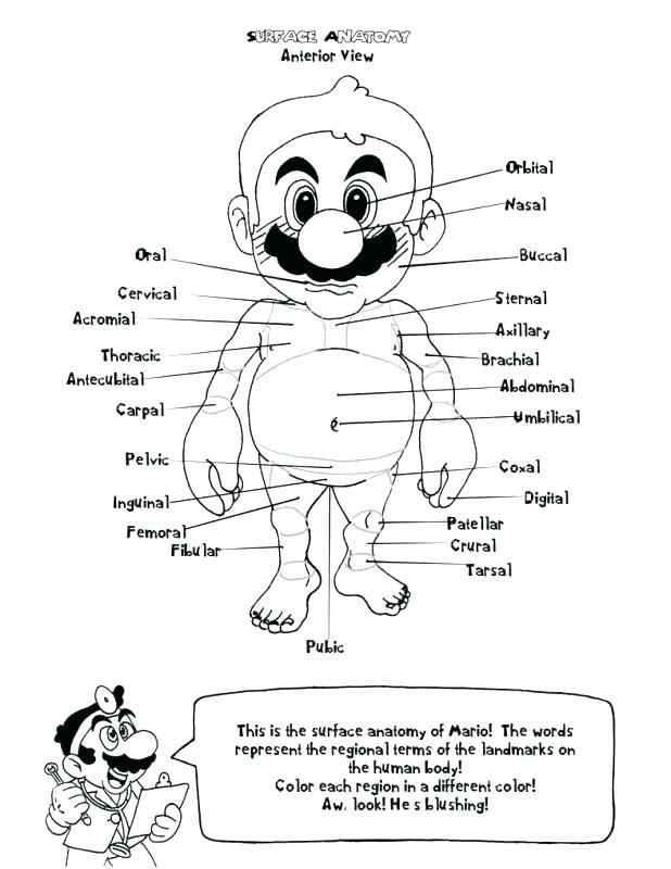 618x800 Body Coloring Pages Body Parts Coloring Pages Body Parts Coloring