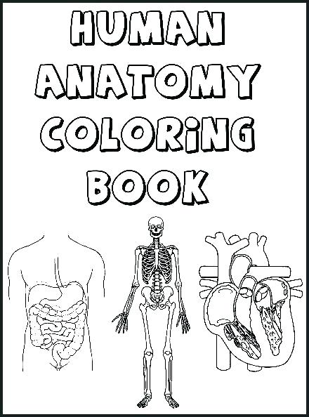 440x594 Body Coloring Pages Human Body Template Coloring Pages My Body