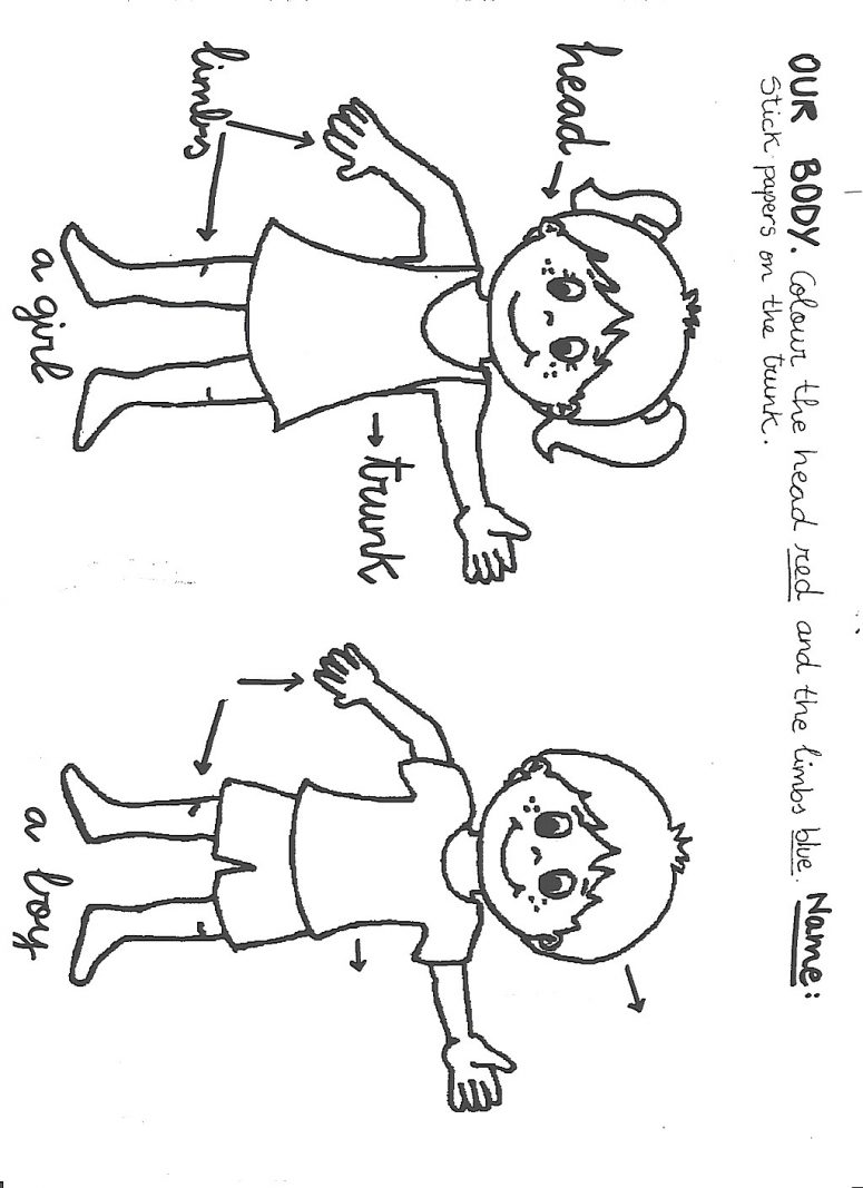 775x1067 Compromise Parts Of The Body Coloring Pages Fo