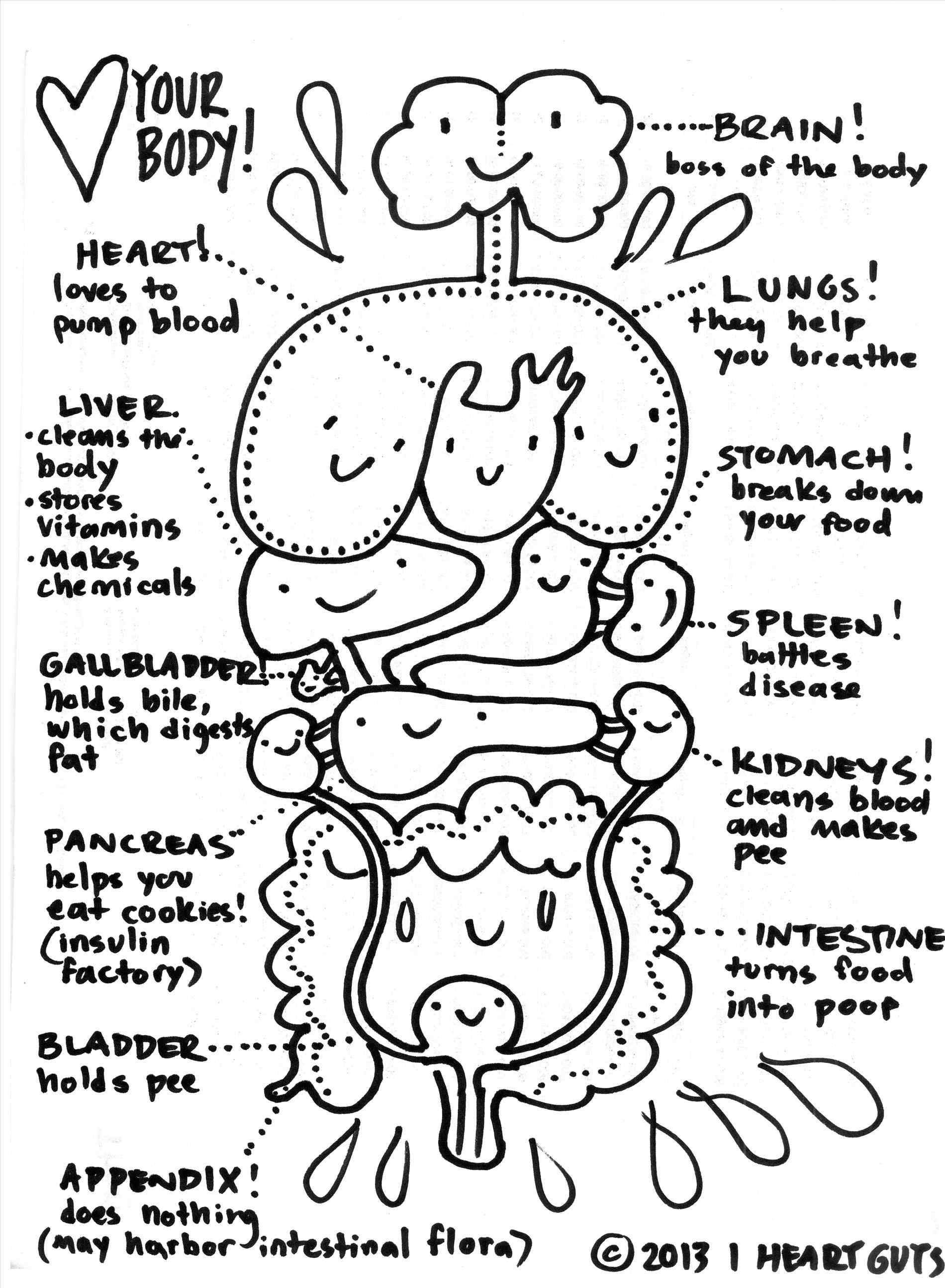 1900x2588 Human Body Coloring Pages For Preschoolers Online Coloring Printable