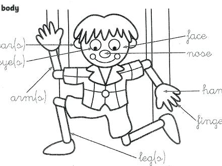 440x330 Preschool Body Parts Coloring Sheets Human Pages