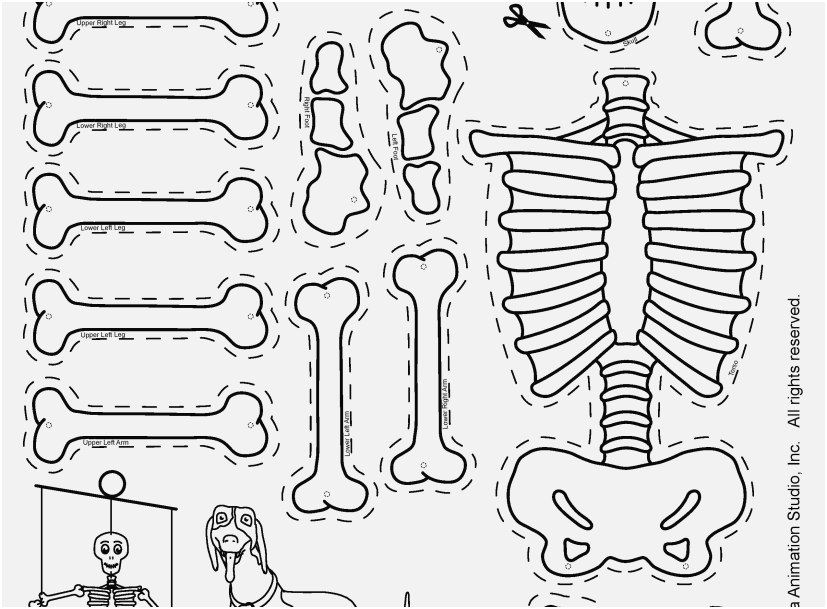 827x609 The Right Pictures All About Me Coloring Pages Lovely