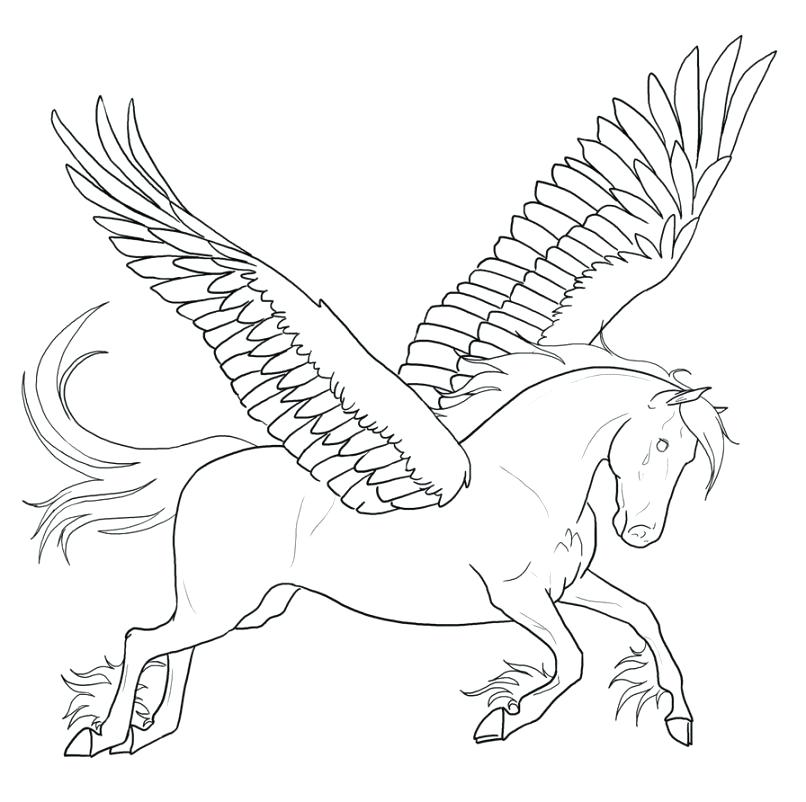 806x802 Pegasus Coloring Pages Coloring Page My Little Pony Pegasus