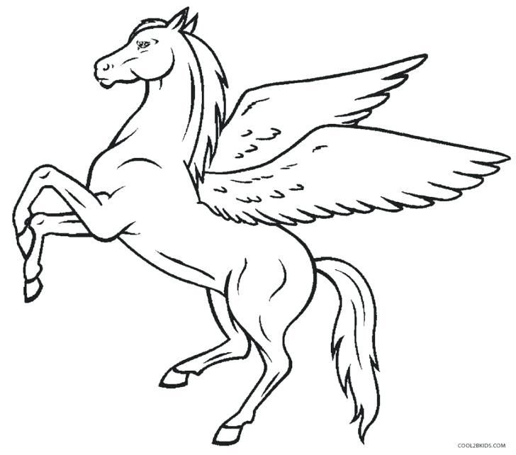 728x642 Pegasus Coloring Page