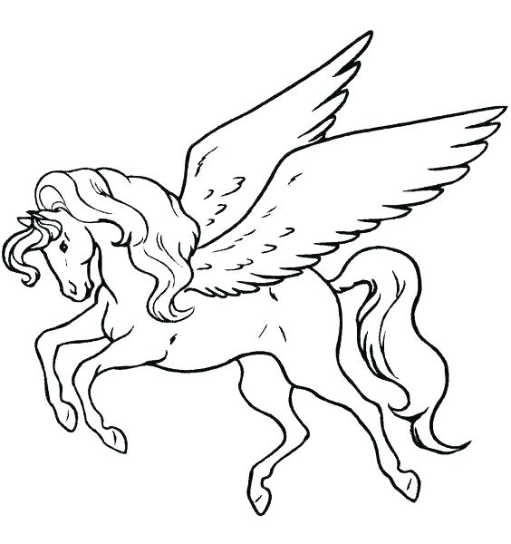 564x600 Free Pegasus Coloring Pages Free Coloring Pages Pegasus Free