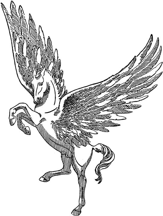 544x720 Mystical Creature Coloring Pages