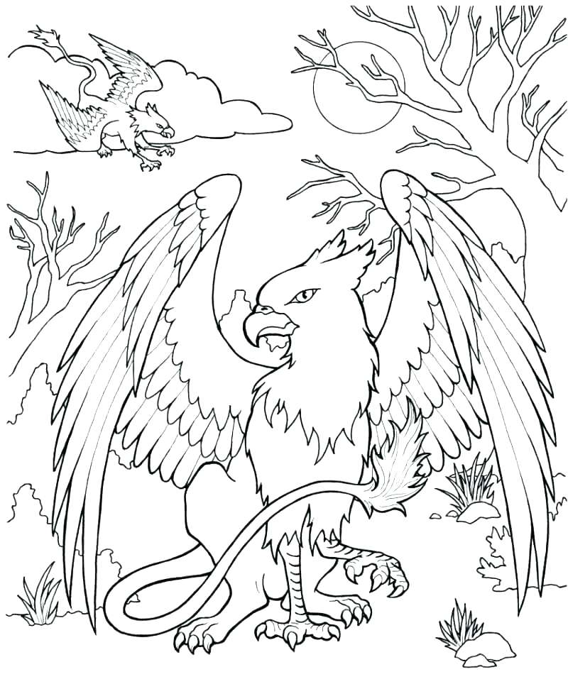 800x964 Mythical Creature Coloring Pages Mythical Creature Coloring Pages