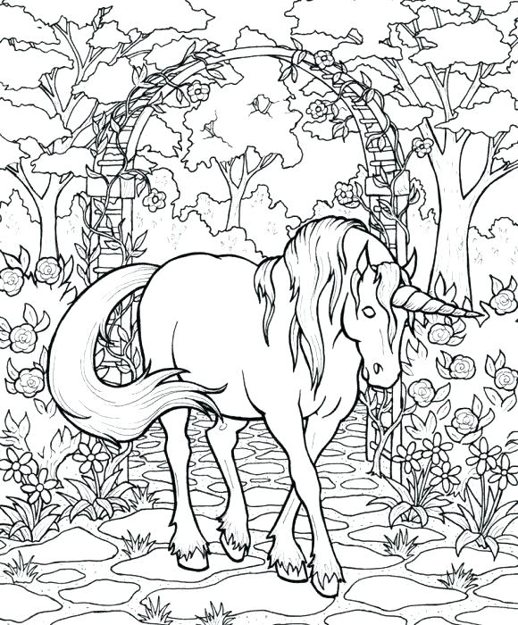 580x700 Greek Mythology Creatures Coloring Pages Mythical Creature Picture