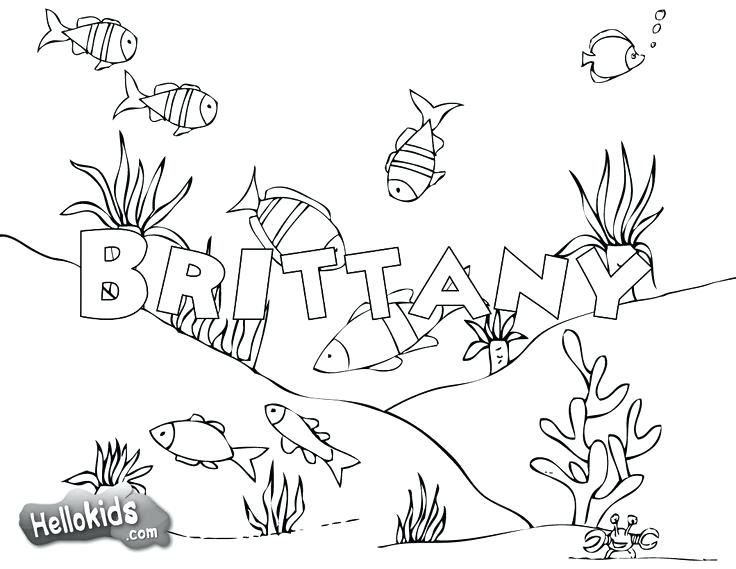 736x569 Name Coloring Pages To Print Free Name Coloring Pages First Day
