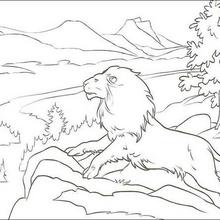 220x220 The Chronicles Of Narnia Coloring Book Pages