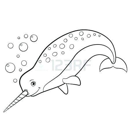 450x450 Cute Pictures Coloring Pages Narwhal Coloring Sheets Narwhal Color