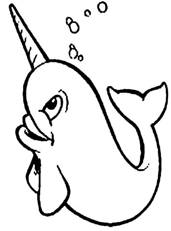 600x807 Happy Narwhal Coloring Page