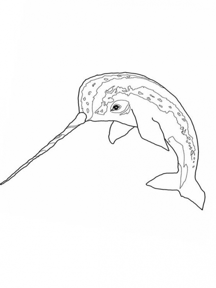 720x960 Narwhal Coloring Page Awesome Get This Narwhal Coloring Pages Free