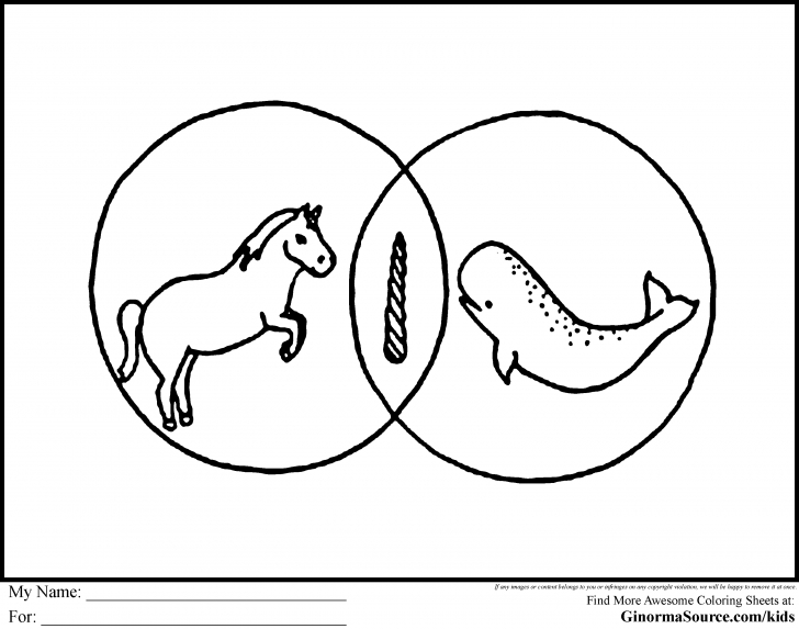 728x573 25 Narwhal Coloring Page Selection Free Coloring Pages