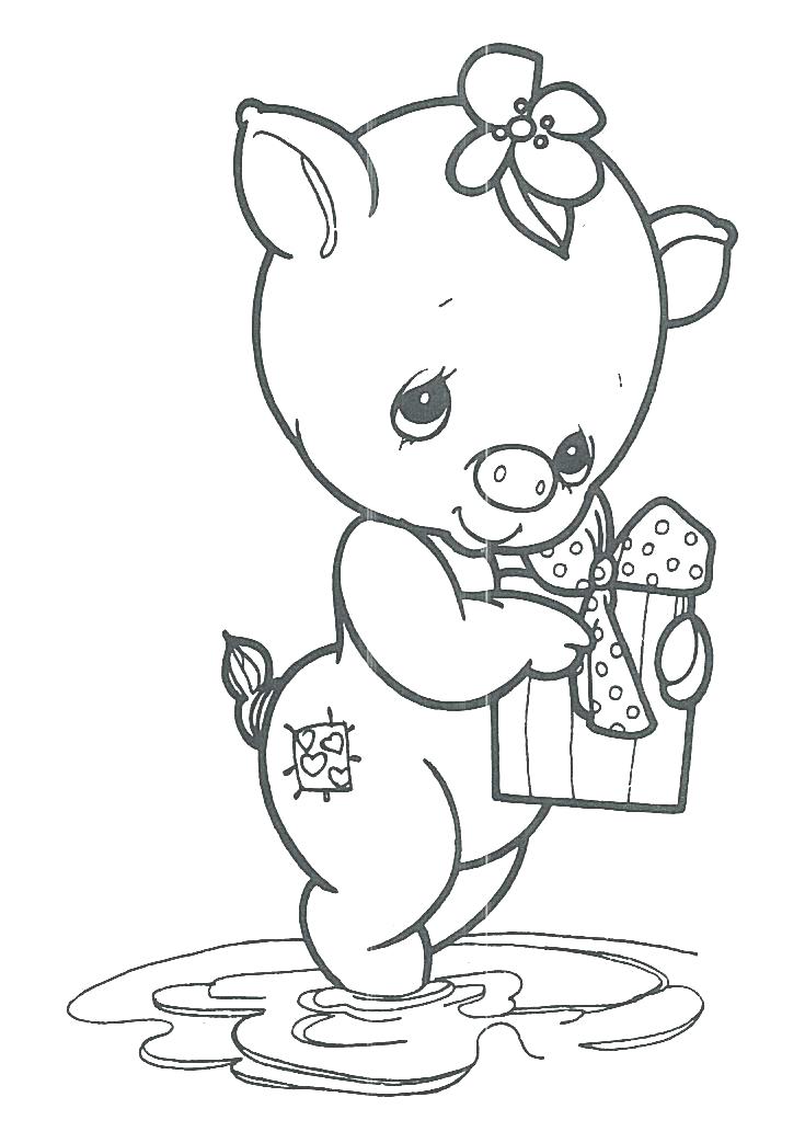 735x1043 Narwhal Coloring Page Impair.co