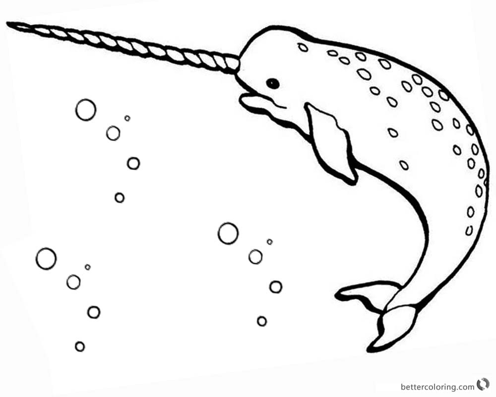 1000x800 34 Unexpected Ways Narwhal Coloring Page Can Make Your Life Better