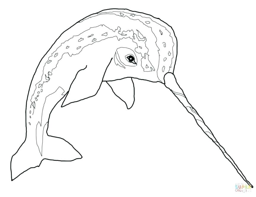 863x667 Click The Narwhal Coloring Pages Free Printable Click The Narwhal