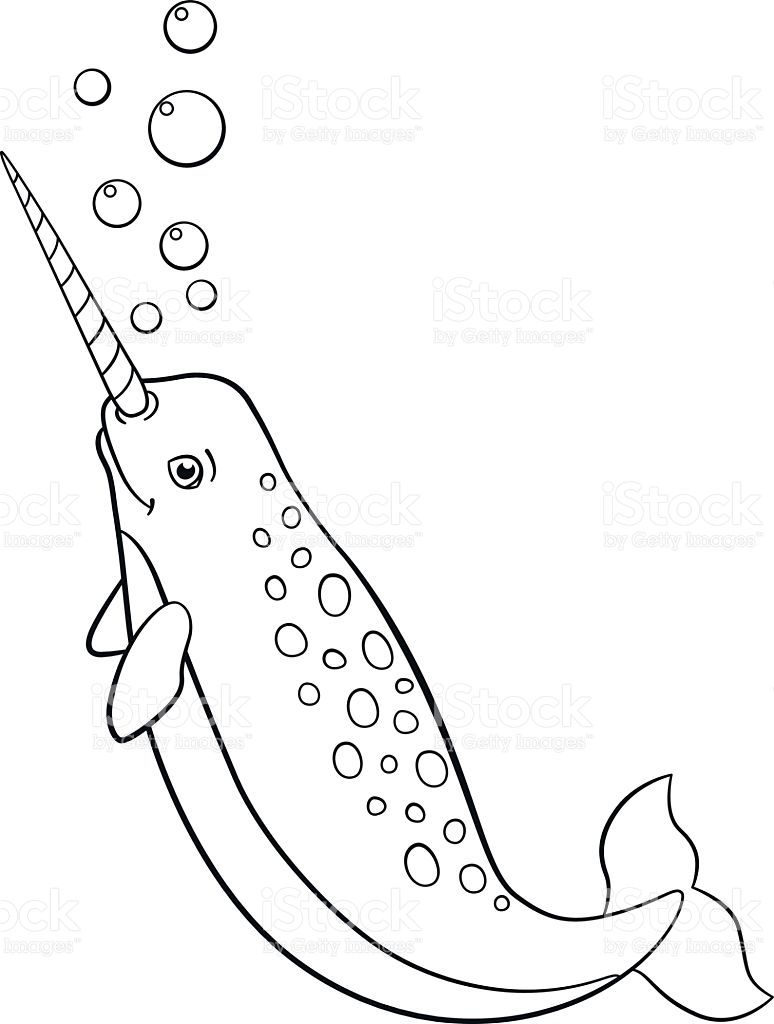 774x1024 Coloring Pages Narwhal Gallery 19 H Printable Narwhal Coloring